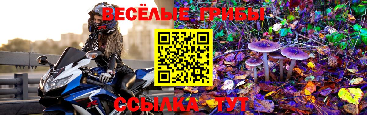 Галлюциногенные грибы Psilocybe  Галлюциногенные грибы прущие грибы  Балашов  Вход с VPN 
